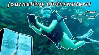 JOURNALING UNDERWATER🤿 🌊 ✍🏻 | journal with me while scuba diving!