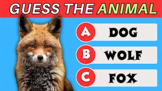 Guess the 30 Animals Challenge: Test Your Wildlife Knowledge! 🦁🦓🐘 | Fun and Educational Quiz 🌍
