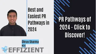 Best and Easiest PR Pathways in 2024