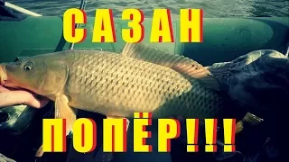 Сазан ПОПЁР!!! Ахтуба карп осень 2017