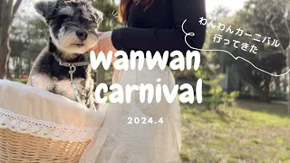 【犬イベント】わんわんカーニバル 2024 代々木公園で買ったものが可愛いすぎた♡