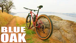 MTB // Millerton Lake // Blue Oak