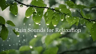 Ambient Sounds for Relaxation | Serene Rain Sounds and Melodic Music for Stress Relief 🌧️🌊