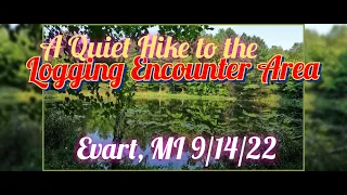 A Quiet Hike to the Logging Encounter Area, Evart, MI 9/14/22