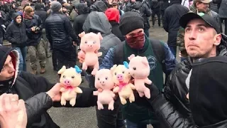 Националисты закидали резиденцию Порошенко свиньями в Киеве