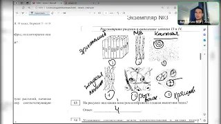 Разбор официального московского пробника от ФИПИ. ЕГКР. ЕГЭ по биологии 2024