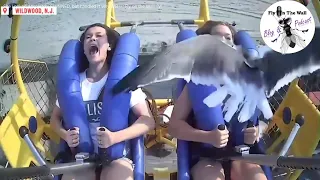 Girl Hit in Face by Bird on Sling Shot Ride at Jersey Shore Amusement Park