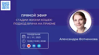 Александра Фотченкова - «Стадии жизни кошек: подход врача на приеме».