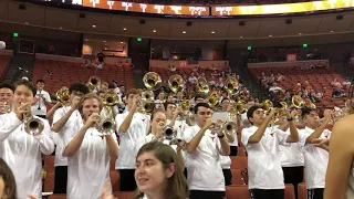 Mr. Brightside (Longhorn Pep Band)