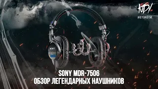 SONY MDR-7506 Лучшие бюджетные наушники