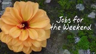 Gardeners’ World Jobs for the Weekend 15 October 2021 #gardenersworld #originalgardening