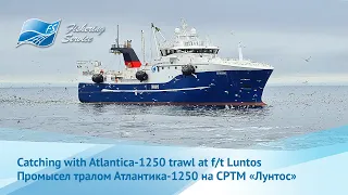 Herring fishing aboard of factory trawler LUNTOS - Промысел сельди на борту СРТМ ЛУНТОС