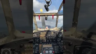 Antonov AN 2 Cockpit im Flug