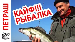 ВЫСТРЕЛ В СЕРДЦЕ!!! Рыбалка на ДЖИГ в ноябре!