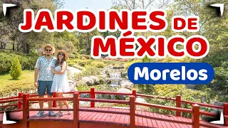 JARDINES de MEXICO Morelos 🔴 Que hacer cerca de CDMX ✅ TODO lo que tienes que saber ► Sin Postal 4K