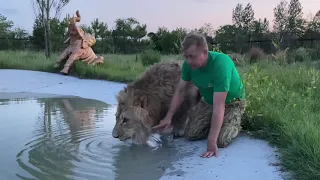 Верхом на ЛЬВЕ СУЛТАНЕ ! Russian Lion man !