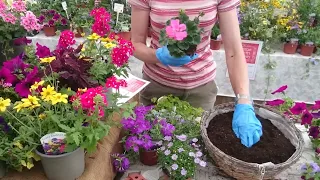How to plant up summer hanging baskets tutorial