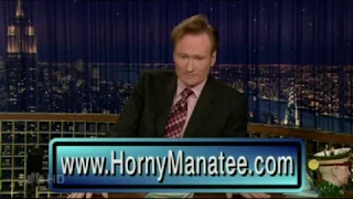 Horny Manatee - 4/9/2007