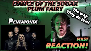 Pentatonix - Dance Of The Sugar Plum Fairy FIRST REACTION! (THE WAY THEY DO HIS!!) #ptxreaction