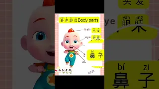 学中文-普通话日常词汇-身体部位Learn Chinese - Mandarin Daily Vocabulary - Body Parts