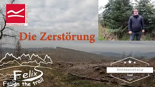 Rothaarsteig Fazit: die Zerstörung