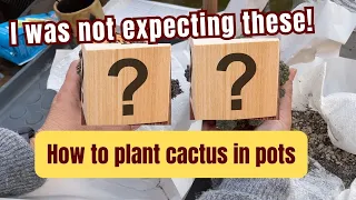 😲Surprise Unboxing😮 | How to Plant #cactus