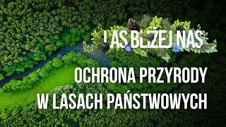 Las bliżej nas - Ochrona przyrody w Lasach Państwowych