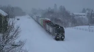 Stadler EuroDual 2159 hauling CargoNet freight train at Gartland