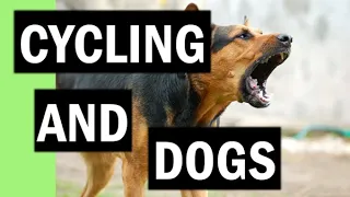 CYCLING: HOW TO HANDLE AN AGGRESSIVE DOG