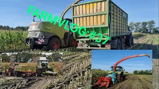 Farmvlog:#37 nasse verhältnisse: der Mais muss runter