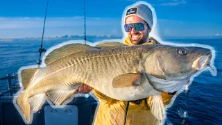 Cod Fishing in Norway - BEST Cod fishing in The World!