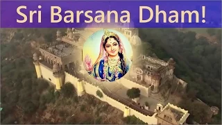 Joy of Krishna Consciousness 015 - Sri Barsana Dham! Bhajan by Tarana Chaitanya Das