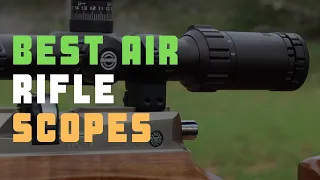 5 Best Air Rifle Scope For The Money | Check Best Budget Air Rifle Scopes