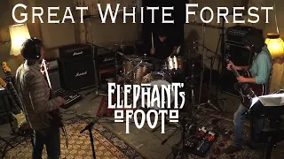 Elephant's Foot - Great White Forest (Official Music Video)