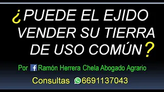 ¿legalmente el ejido puede vender la tierra de uso común?