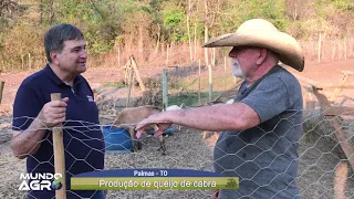 Produção de queijo de cabra