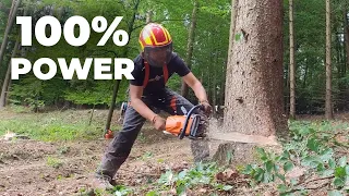 Motorsäge die ich liebe für Fällarbeiten im Forst und zum Entasten von Bäumen im Wald. Stihl MS 362