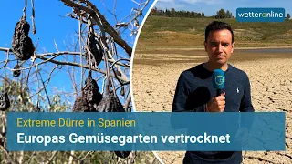 Extreme Dürre in Spanien: Europas Gemüsegarten vertrocknet