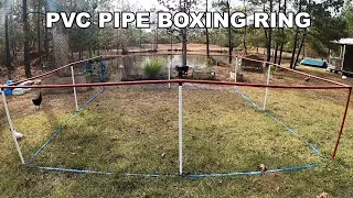 CHEAP Homemade Boxing Ring