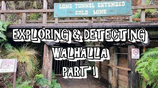 EXPLORING AND DETECTING WALHALLA (PART 1)