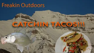 Grocery Run to Utah Lake CATCH & COOK | White bass Fish Tacos  | Building Custom Grubs and Jig Heads