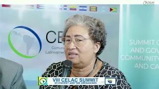 COMMUNITY OF LATIN AMERICAN AND CARIBBEAN  STATES VIII SUMMIT OF HEADS OF STATE AND GOVERNMENT
