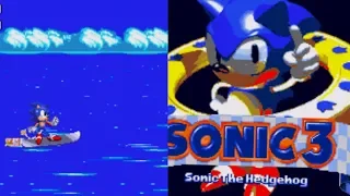 Sonic The Hedgehog 3 11/3/1993 Prototype