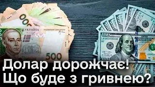 💸 Валютні гойдалки! Чому дорожчає долар і що буде з гривнею