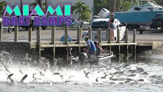 Look Out Fish Somethings Coming!!! | Miami Boat Ramps | Black Point Marina