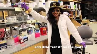 Talk Nerdy (Biology parody of Talk Dirty - Jason Derulo ft. Polymerase Chainz)