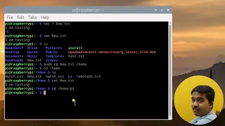 Copy and Move Files on Raspberry Pi using the Terminal | Step-by-Step Tutorial