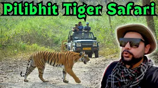 Pilibhit Afternoon Safari | India's best Tiger Reserve for Tiger Sighting