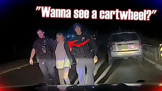 Police Cam | DUI Grandma is Hilarious | Funniest Police Video Ever | Fox Lake, Illinois