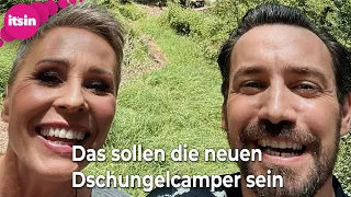 Das sollen die neuen Dschungelcamper sein • it's in